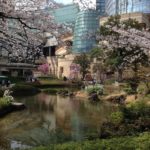 xx - The view from the Roppongi Hills gardens with Japanese Cherry trees in full bloom. Notice the glass drum beyond. 
